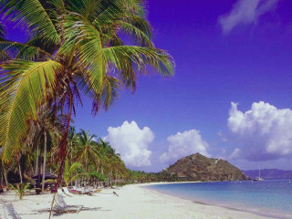 Beach palm tree boat mountain - the water and a mountain in the distance free wallpaper