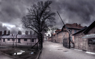 Street tree building sign old - grim free wallpaper for desktop