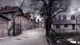 Street tree building adolfborn grim - grim free wallpaper for desktop