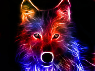 Wolf glowing eyes black background 2 - a wolf free wallpaper for desktop