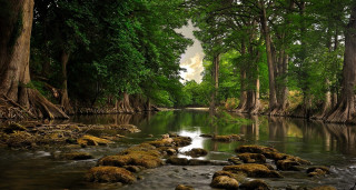 River rocks trees water cloudy 3 - a few cloud free wallpaper for desktop