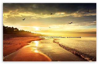Beach birds sunset pier flying - over the water free wallpaper