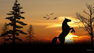 Horse jumping sunset birds flying - a horse free wallpaper