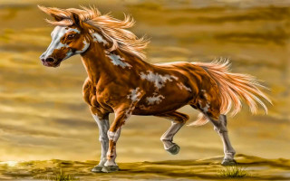 Horse long mane running grass - a long mane free wallpaper for desktop