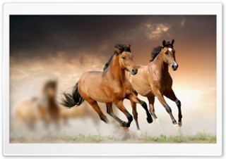 Two horses running sky background - professional digital painting free wallpaper