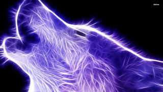 Purple wolf skyfireworks night energy - plasma free wallpaper