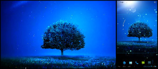 Tree field full moon sky - a full moon in the sky above free wallpaper