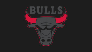 Bulls logo bulls head design 2 - figurativism free wallpaper