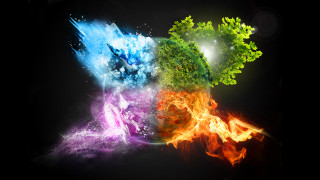 Colored plants black background group 2 - triadic free wallpaper for desktop