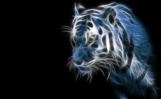 Blue white tiger glowing magic - a white tiger free wallpaper
