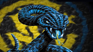 Blue black snake yellow black - snake free wallpaper