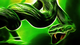 Green snake mouth open tongue 6 - a yellow light free wallpaper for desktop