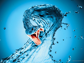 Large blue wave open mouth - its mouth open free wallpaper