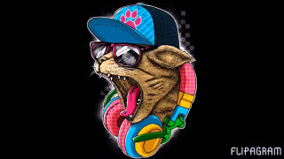 Cat hat sunglasses headphone cat - a tail free wallpaper