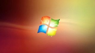 Colorful background window logo bird - felipe seade free wallpaper