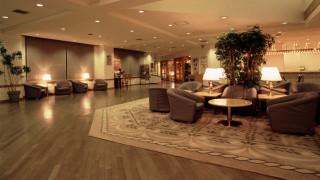 Living room furniture rug plant - diffuse free wallpaper for desktop