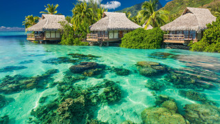 Tropical resort lagoon overwater beds - tropical free wallpaper
