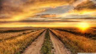 Dirt road field sunset cloudy 2 - a dirt road in a field free wallpaper