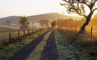 Dirt road fence tree field - eric deschamps free wallpaper for desktop