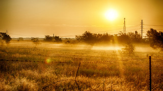 Field fence trees background sun - the fog free wallpaper for desktop