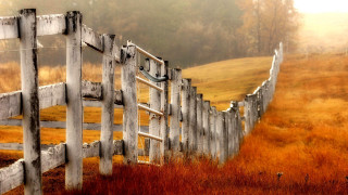 Wooden fence bird fog autumn - autumn free wallpaper