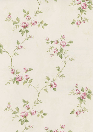 Pink flowers green leaves white - pink flower free wallpaper for mobile