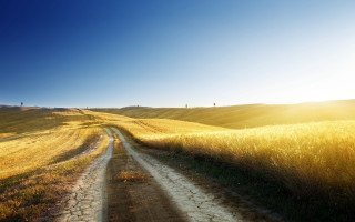 Dirt road field sun horizon - a dirt road in a field free wallpaper