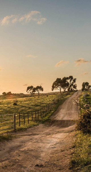 Dirt road fence field sunset - free landscape wallpaper for mobile