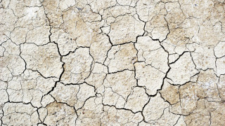 Cracked surface dirt white background - cracked free wallpaper
