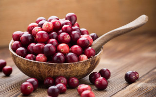Wooden bowl cranberries wooden spoon - a wooden spoon free wallpaper