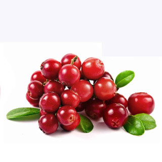 Cranberries leaves white background cranberry - boetius adamsz bolswert free wallpaper for tablet