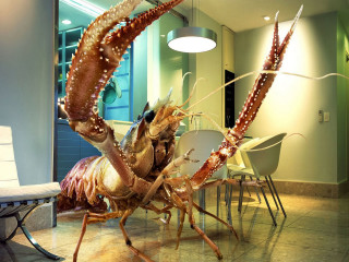 Large lobster standing table room 2 - a table in a room free wallpaper for desktop