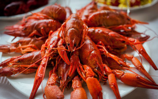 Lobsters table food bowl fruit - a plate free wallpaper for desktop