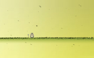 Cat grass hill bird back - eden box free wallpaper