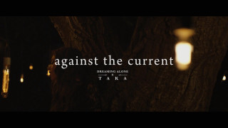 Tree lightbulb hanging trunk against - a light bulb free wallpaper