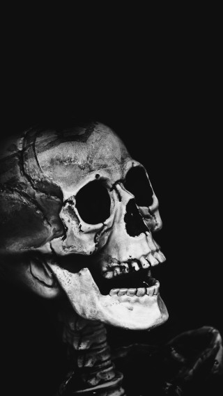 Skeleton black background white background - vanita free wallpaper for mobile
