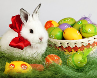 White bunny basket eggs green - a green grass free wallpaper