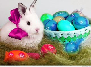 Bunny basket eggs table background - a basket of eggs free wallpaper