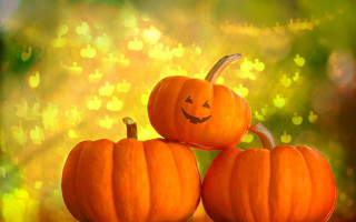 Pumpkins carved faces halloween bokeh - a table in front free wallpaper