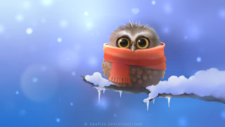 Small owl scarf branch snow - a small owl free wallpaper for desktop