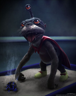 Cat cape ball sand ocean - eddie mendoza free wallpaper for mobile