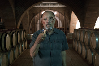 Man wine cellar holding bottle - neo free wallpaper for desktop