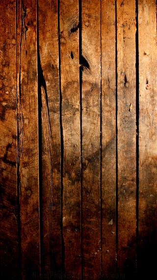 Wooden wall bird shadow above - side and a bird free wallpaper for mobile