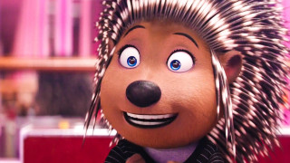 Cartoon hedge smiling striped shirt - a big smile free wallpaper for desktop