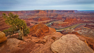 Tree rock river desert nature - free landscape wallpaper for desktop