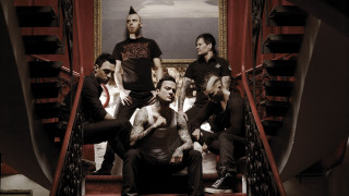 Men staircase dog black shirt - art brut free wallpaper