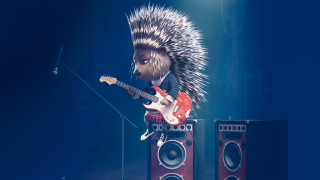 Hedgehog guitar stage microphone speaker - a hedgehog free wallpaper