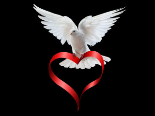 White dove red ribbon gothic - andrey yefimovich martynov free wallpaper for desktop