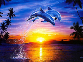 Dolphins jumping sunset palm trees - two dolphin free wallpaper for desktop