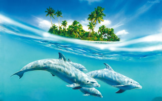 Dolphins swimming ocean island palm 3 - palm tree and a boat free wallpaper